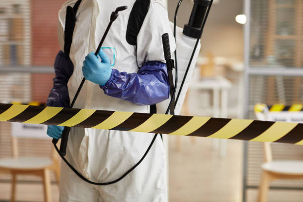 Professional Sewage Cleanup technician working in Parker, CO